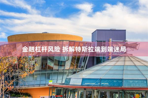 金融杠杆风险 拆解特斯拉端到端迷局