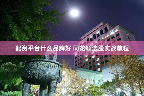 配资平台什么品牌好 同花顺选股实战教程