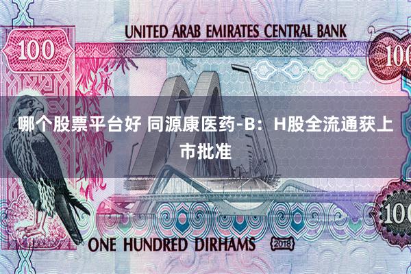 哪个股票平台好 同源康医药-B：H股全流通获上市批准