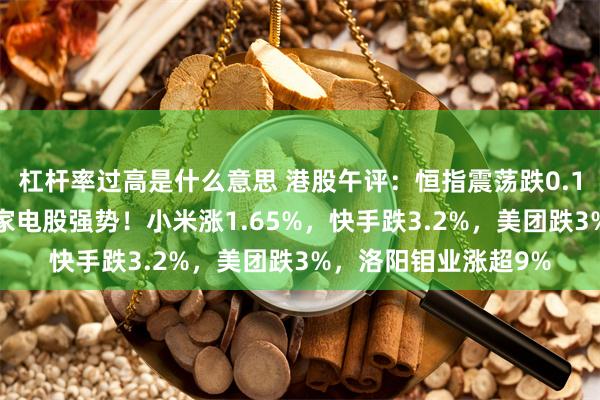 杠杆率过高是什么意思 港股午评：恒指震荡跌0.12%，有色金属股、家电股强势！小米涨1.65%，快手跌3.2%，美团跌3%，洛阳钼业涨超9%