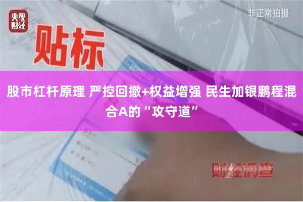 股市杠杆原理 严控回撤+权益增强 民生加银鹏程混合A的“攻守道”