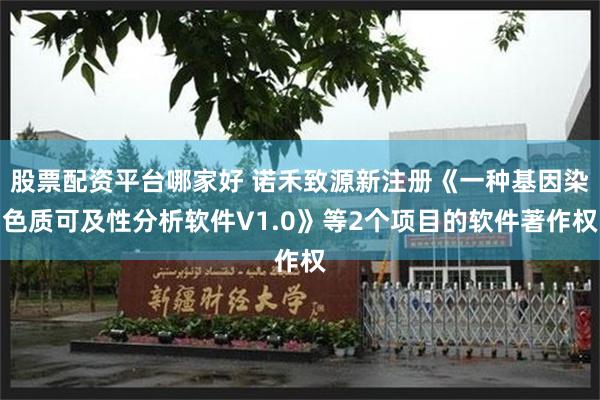 股票配资平台哪家好 诺禾致源新注册《一种基因染色质可及性分析软件V1.0》等2个项目的软件著作权