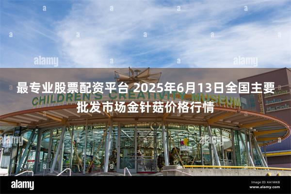 最专业股票配资平台 2025年6月13日全国主要批发市场金针菇价格行情