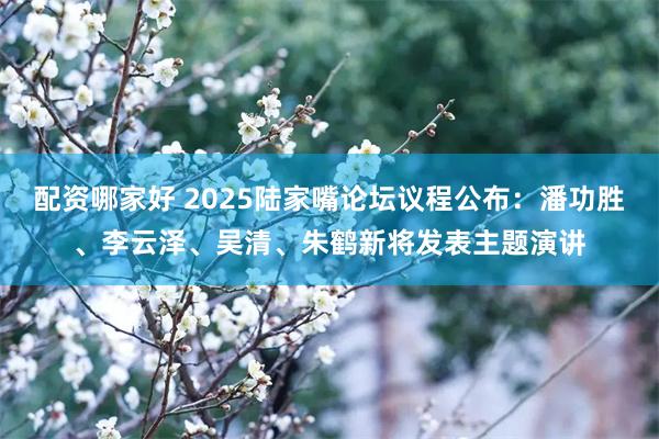 配资哪家好 2025陆家嘴论坛议程公布：潘功胜、李云泽、吴清、朱鹤新将发表主题演讲