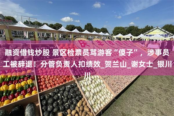 融资借钱炒股 景区检票员骂游客“傻子”，涉事员工被辞退！分管负责人扣绩效_贺兰山_谢女士_银川