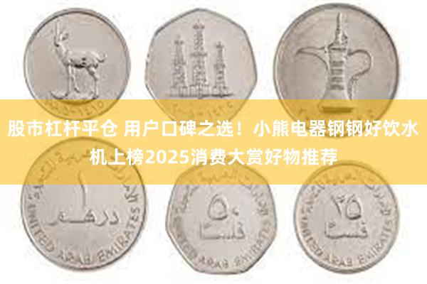 股市杠杆平仓 用户口碑之选！小熊电器钢钢好饮水机上榜2025消费大赏好物推荐
