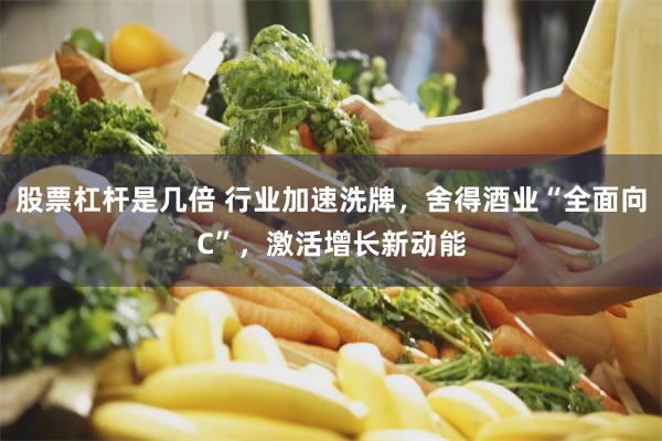 股票杠杆是几倍 行业加速洗牌，舍得酒业“全面向C”，激活增长新动能