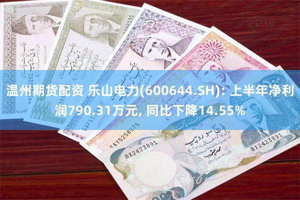 温州期货配资 乐山电力(600644.SH): 上半年净利润790.31万元, 同比下降14.55%