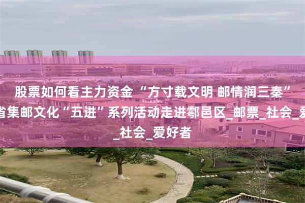 股票如何看主力资金 “方寸载文明 邮情润三秦”陕西省集邮文化“五进”系列活动走进鄠邑区_邮票_社会_爱好者