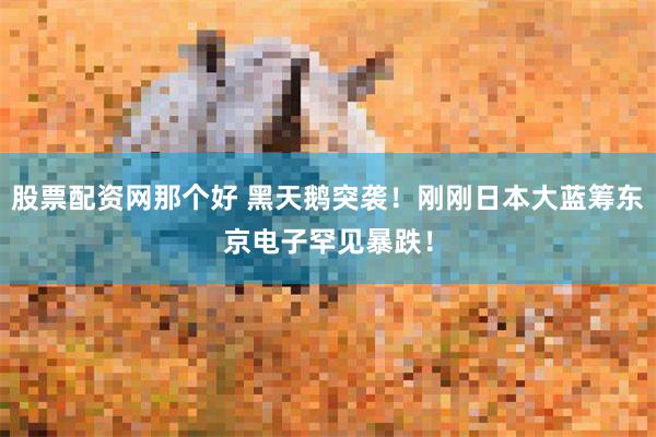 股票配资网那个好 黑天鹅突袭！刚刚日本大蓝筹东京电子罕见暴跌！
