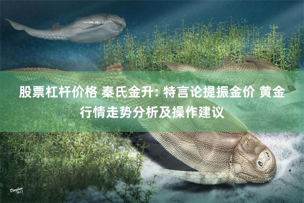 股票杠杆价格 秦氏金升: 特言论提振金价 黄金行情走势分析及操作建议