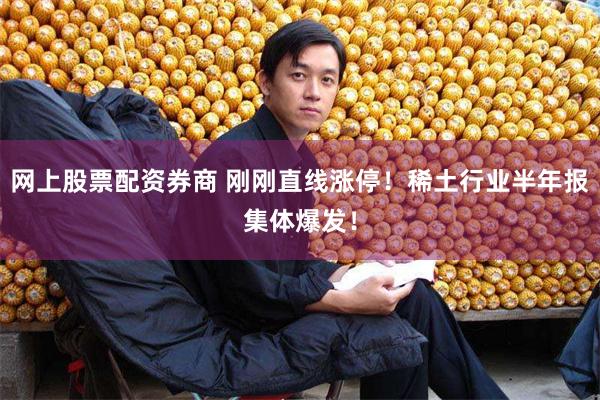 网上股票配资券商 刚刚直线涨停!稀土行业半年报集体爆发!